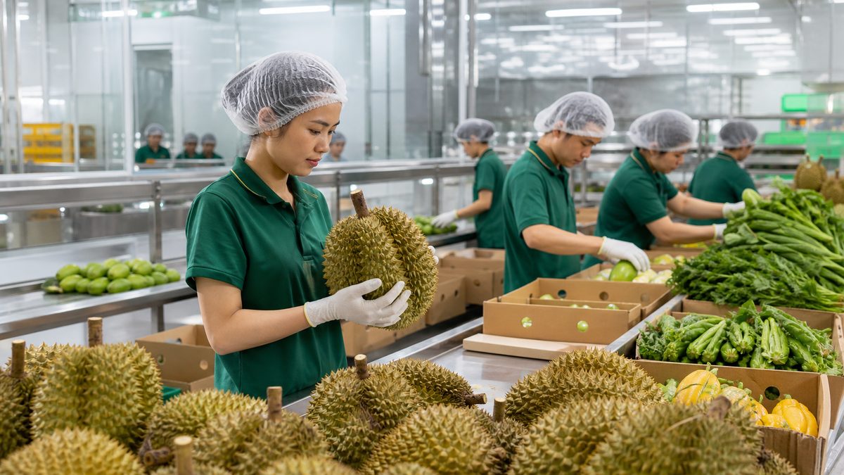Chuẩn hoá kiểm soát chất lượng trước mỗi chuyến hàng